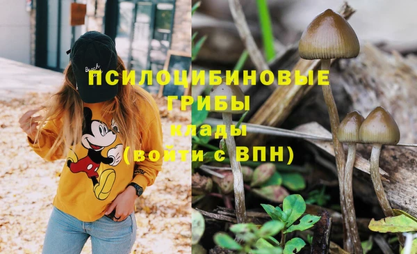 бошки Козельск